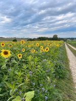 Landwirtschaftliche Nutzflächen zur Pacht gesucht Bayern - Aldersbach Vorschau