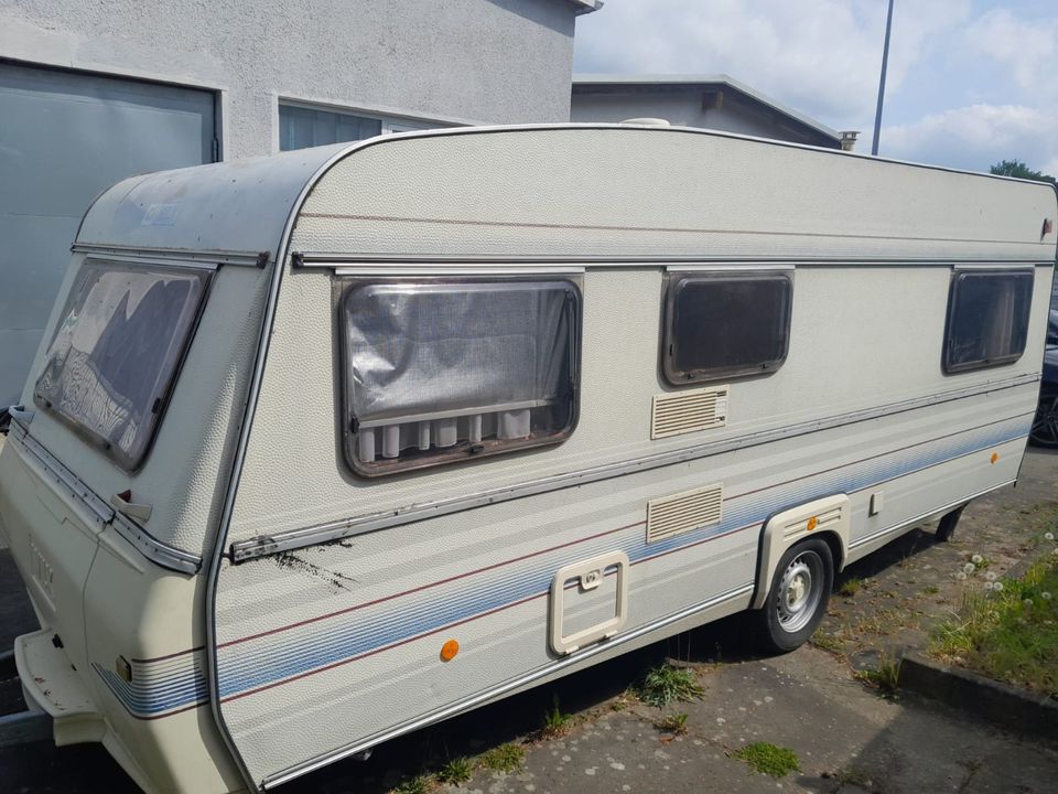 Wilk 540 De Luxe Leichtbau B Führerschein in Falkensee