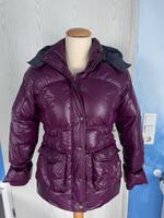 Calvin Klein Jeans Damen Winter Jacke Daunen L40 lila Hessen - Großkrotzenburg Vorschau
