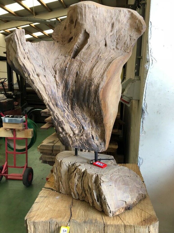 STATUE SKULPTUREN ALTHOLZ TREIBHOLZ TEAK BÄUME UNIKAT STAMMEN in Aachen