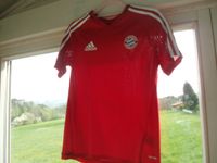 Neues FC Bayern-Shirt Gr. 164 Bayern - Bad Kötzting Vorschau