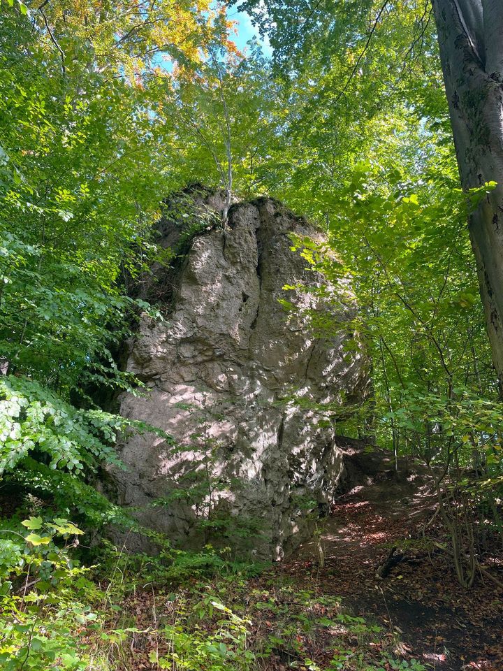 HARZschnitzeljagd *Einhorntour (Kindertour)* Scharzfeld in Herzberg am Harz