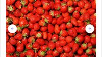 Wer hat Bio Erdbeeren zu verschenken oder zu verk.? Nordrhein-Westfalen - Tecklenburg Vorschau