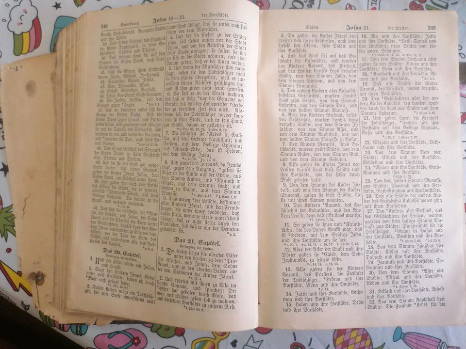Alte Bibel, von 1885, Martin Luther, Rarität, Einzelstück!!!! in Zirchow