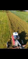 Rasen Vertikutieren zu Festpreisen Niedersachsen - Süpplingen Vorschau