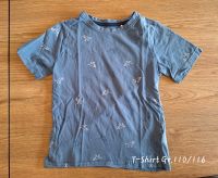 T-Shirt Gr.110/116, Dinos Nordrhein-Westfalen - Warendorf Vorschau