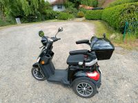 Rolektro E- Trike Niedersachsen - Sassenburg Vorschau