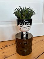Sukkulente Kaktus „Frida Kahlo“s Haar Zimmerpflanze Niedersachsen - Göttingen Vorschau