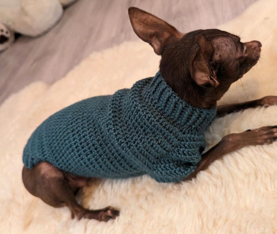 Hundepullover für kleine dünne Hunde wie Chihuahua russkiy toy in Dortmund