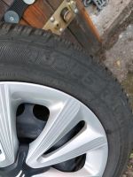 Citroen Winterreifen Semperit 195/55 R 16H 6 mm Profil 4 Loch Rügen - Sassnitz Vorschau