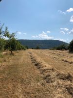 Suche Wiesenflächen pachten mähen Heu Bayern - Dorfprozelten Vorschau