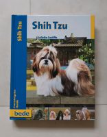 Shih Tzu  - Praxisratgeber Dithmarschen - Burg (Dithmarschen) Vorschau