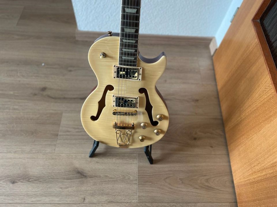 GITARRE LES PAUL in Thiersheim