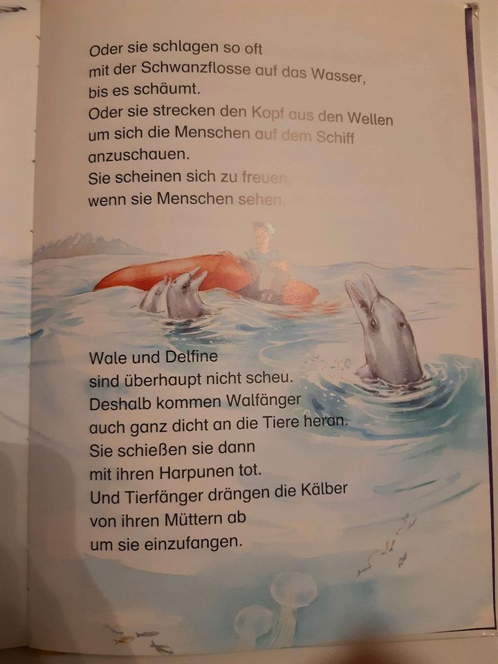 Erstleser  Buch "Wale und Delfine" in Pirna