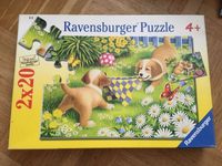 Ravensbuger Puzzel - 2x20 - 4+ / zu verschenken Niedersachsen - Grünendeich Niederelbe Vorschau