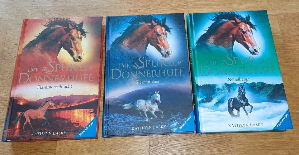 Kinder/Jugend Pferde Bücher - Die Spur der Donnerhufe 1-3 in Reinfeld