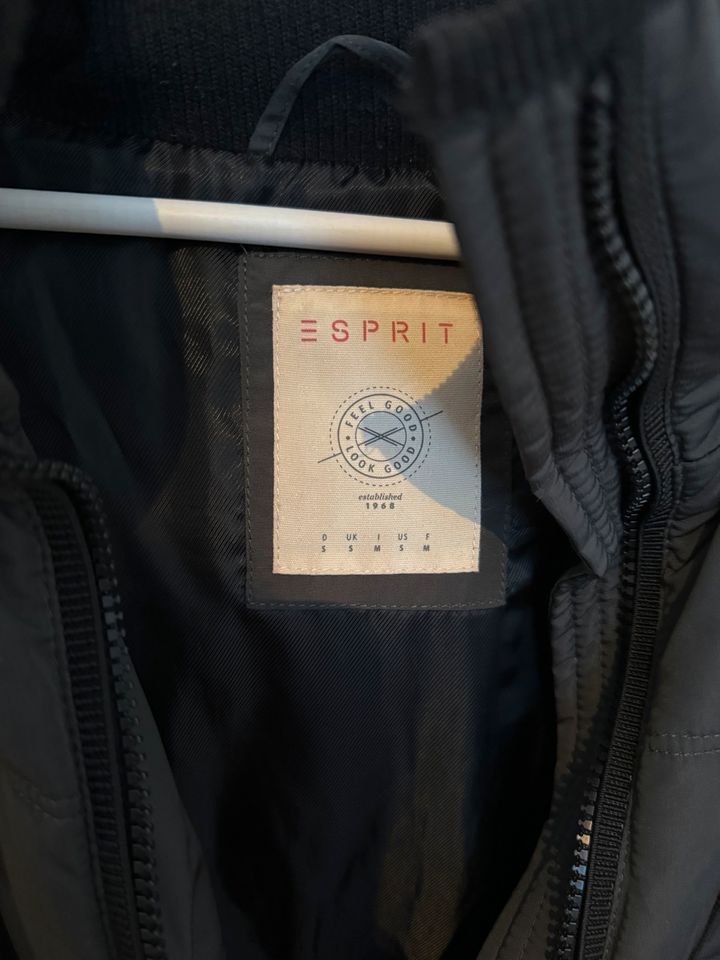 Graue Winterjacke Esprit S in Düsseldorf