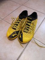 Puma Future Fussball/Hallenschuh Sachsen-Anhalt - Genthin Vorschau