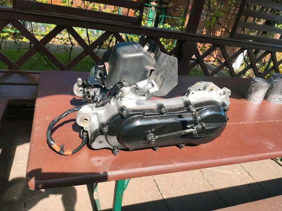 Honda Bali 50 Motor . in Memmelsdorf