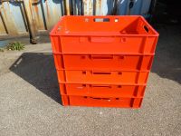 Box, Vorratsbox, Lagerbox, Transportbox, Eurobox, Stapelkiste, E1 Nordrhein-Westfalen - Velbert Vorschau