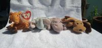 Ty Beanie Baby Mini Nordrhein-Westfalen - Königswinter Vorschau