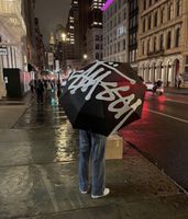 Stüssy Regenschirm Hessen - Oberursel (Taunus) Vorschau