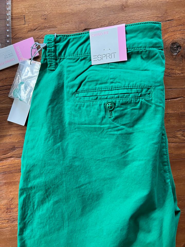 Esprit Chino Fit Gras Frosch Grün neu 40 in Hesel