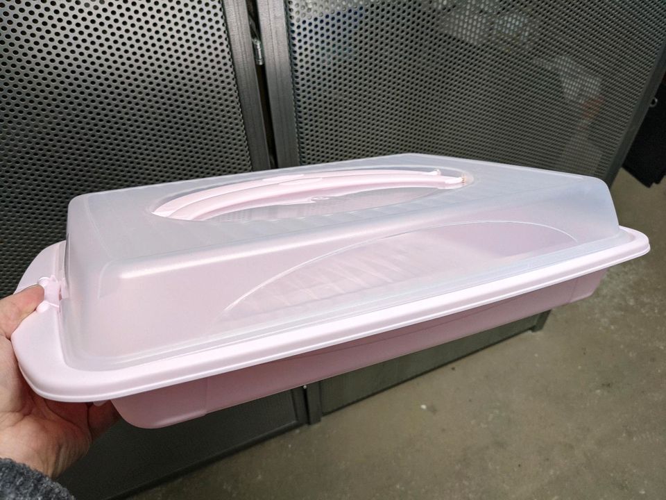 Transport Box Kuchen Aufbewahrung Servierplatte groß portabel in Dresden