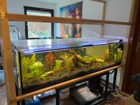 Aquarium 200x60x60 Bayern - Aystetten Vorschau