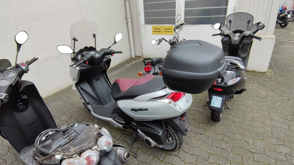 Piaggio Carnaby Peugeot Elystar Aprilia Mojito Kymco Grand Dink 5 in Werther (Westfalen)