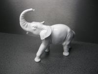 Antiker weißer Porzellan Elefant gemarkt Wagner & Apel Nordrhein-Westfalen - Bönen Vorschau