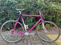 Rennrad Vintage Giant Peloton RH56 Niedersachsen - Edewecht Vorschau