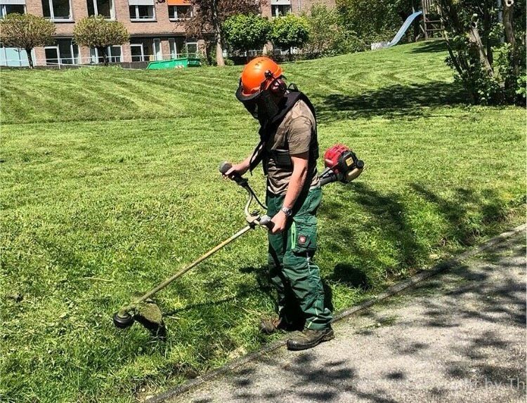 Gartenarbeit, Zaunbau, Sichtschutzbau , Heckenschnitt in Hamburg