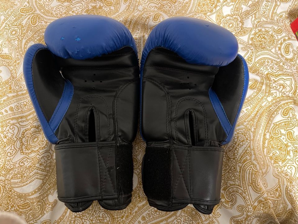 Boxhandschuhe/Kickboxhandschuhe 10oz in Centrum