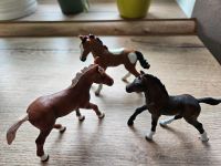 3 x Schleich Fohlen, Top Zustand Sachsen - Lichtenberg Vorschau