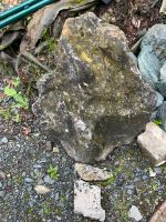 Quellstein mit Bohrung / Gartenbrunnen Hessen - Weilrod  Vorschau