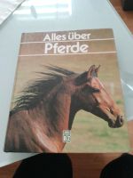 Pferde Buch Gut erhalten Brandenburg - Frankfurt (Oder) Vorschau