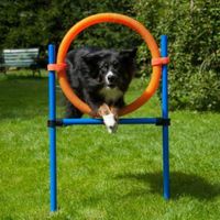 Dog Agility Sprungring Nordrhein-Westfalen - Solingen Vorschau