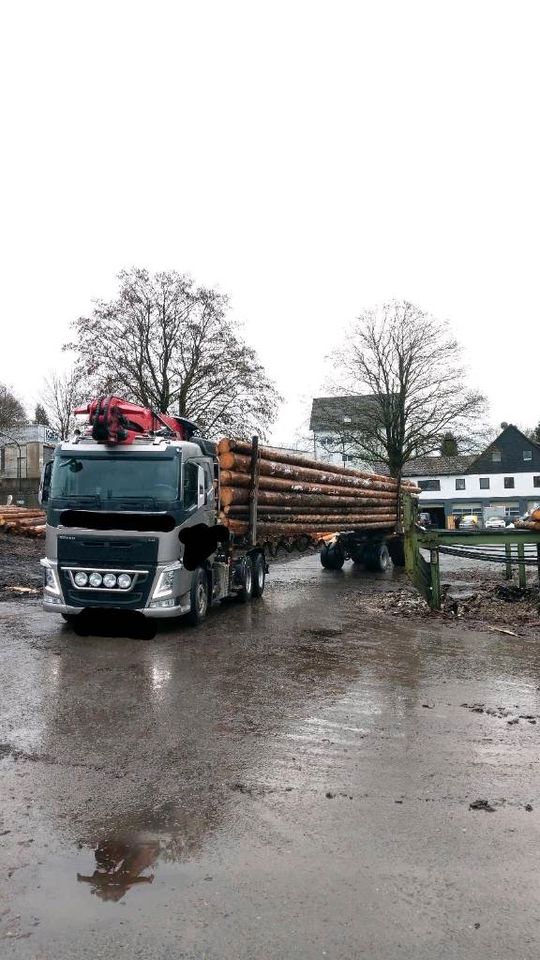 LKW - Fahrer sucht  Stelle im  Holztransport mit Ladekran in Gummersbach