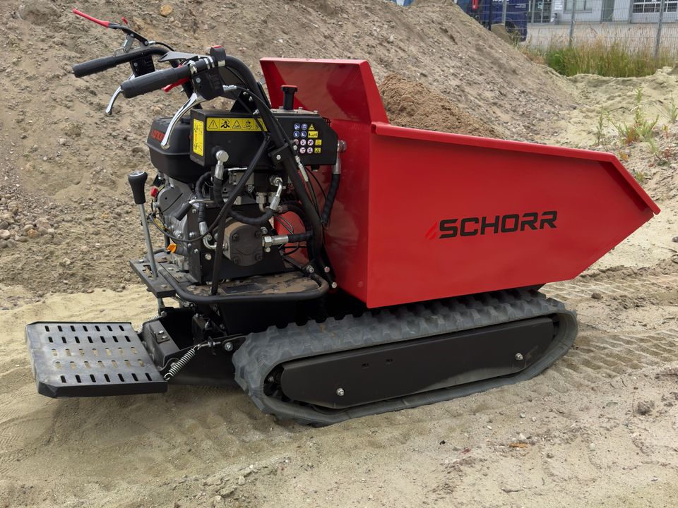 SCHORR Minidumper 500kg mit Kipphydraulik und Mitfahrplattform NEU Raupendumper 9,2 PS Motor Dumper Schubkarre Motorschubkarre in Schüttorf