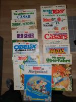 23 Asterix Comic-Hefte DIN A4 Nordrhein-Westfalen - Gelsenkirchen Vorschau