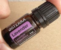 DoTERRA - LAVENDER - 5 ml - Ätherisches Öl - NEU - MHD 2028 + CPT Bayern - Bad Windsheim Vorschau