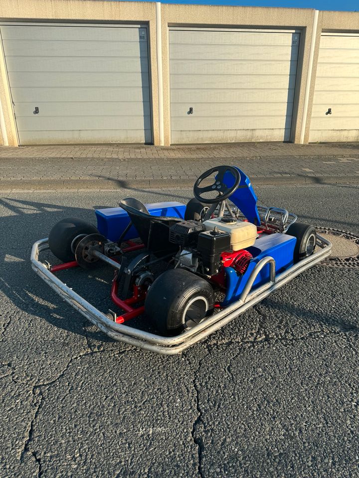 Dino Go Kart 6,5ps in Netphen