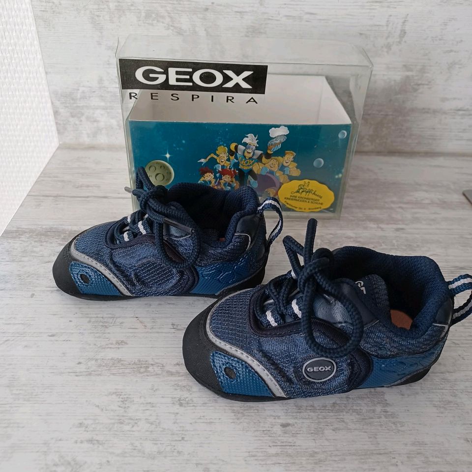 Geox Babyschuhe Größe 19 in Karben