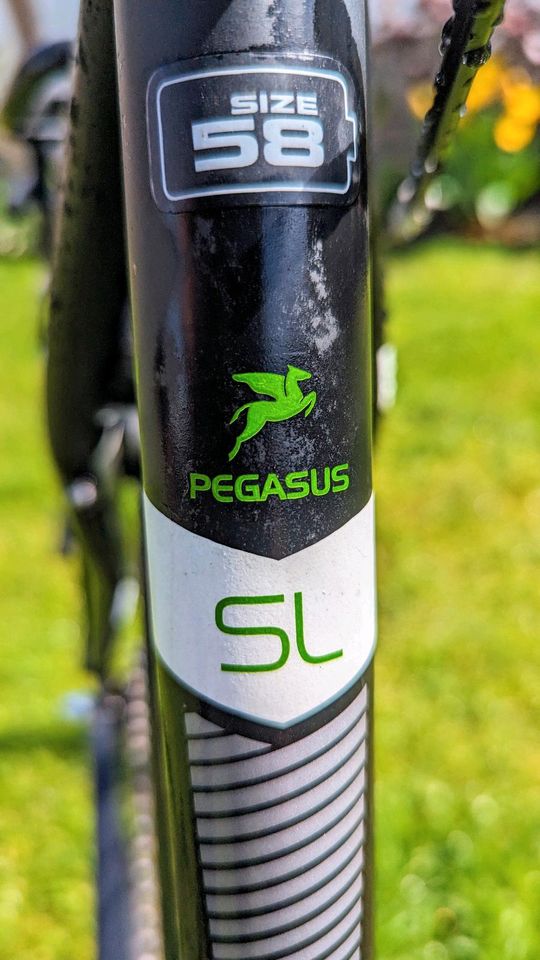 28 Zoll Fahrrad Pegasus Solero Sport 8 Gang Nabenschaltung in Möckern