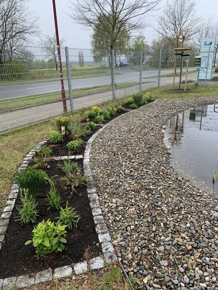 Gartenarbeiten vom Gärtner / Fachmann Heckenschnitt in Eilsleben