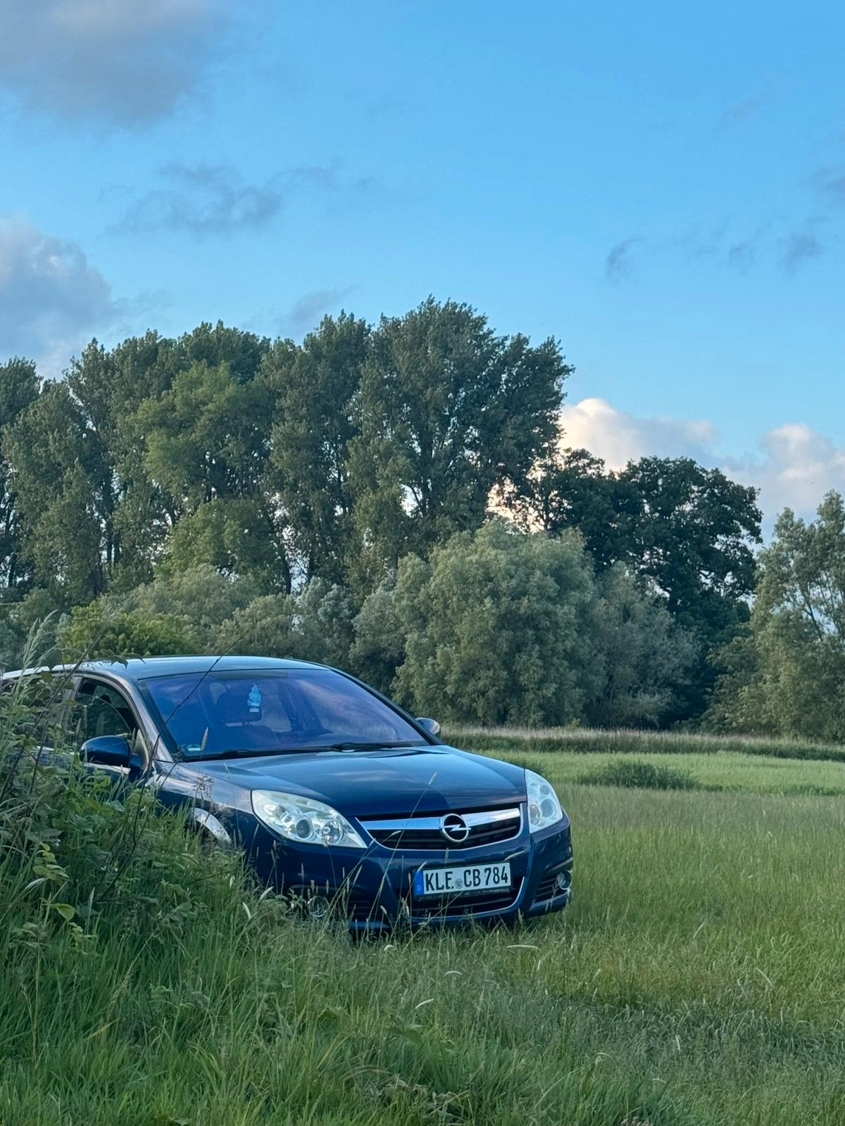 Abbildung des Autos Opel Signum 1.9Cdti Dpf …