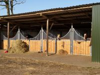 Pferdeboxen frei Pferdestall Einstellerboxen Dithmarschen - Süderhastedt Vorschau