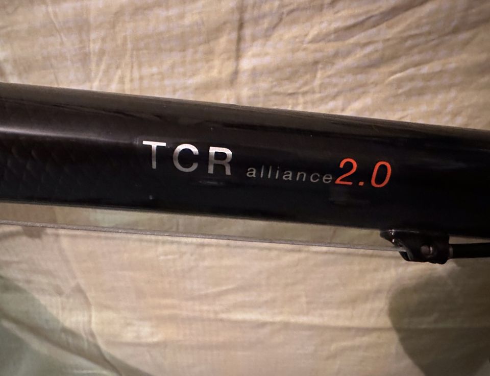 Giant TCR Alliance 2.0 Rennrad in Euskirchen