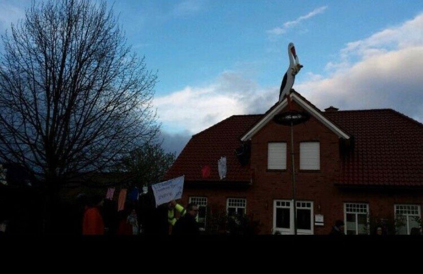 Storch zum ausleihen in Westoverledingen